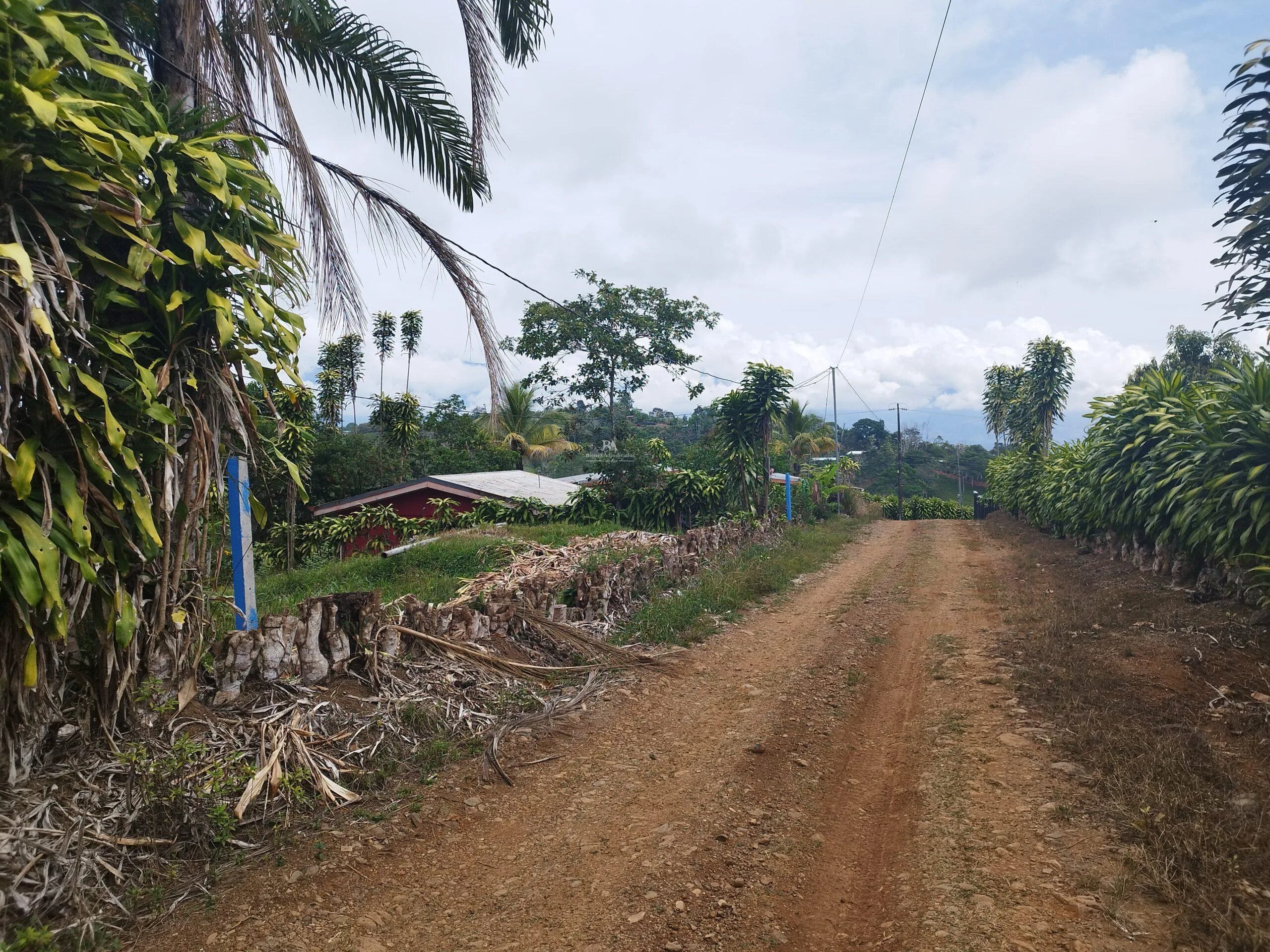 Lote en Pérez  Zeledón
