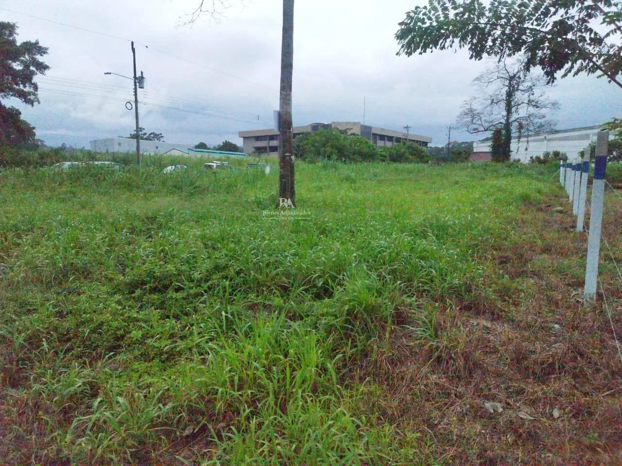 Lote en Pococí Limón