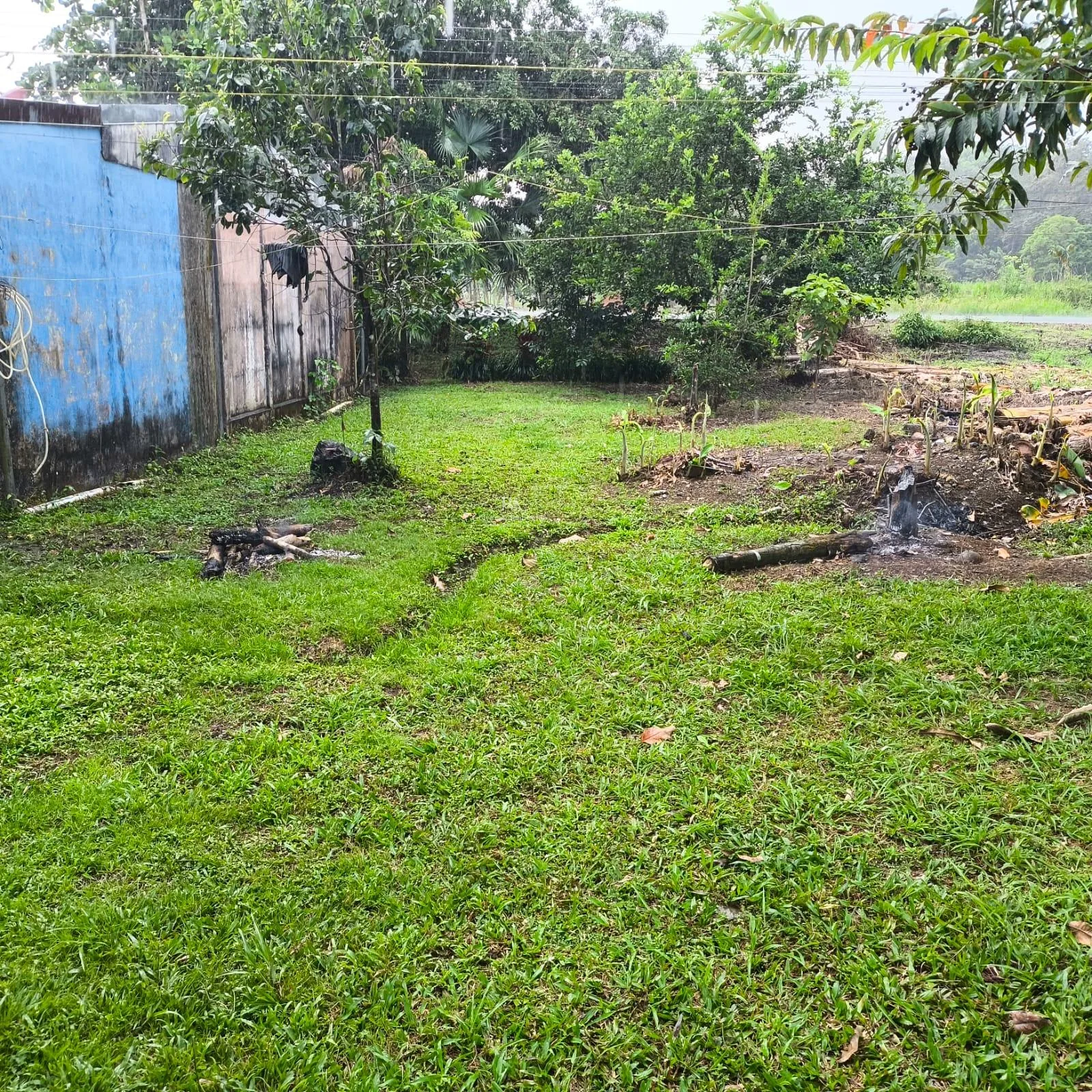 Lote en Puerto Jiménez Puntarenas 2