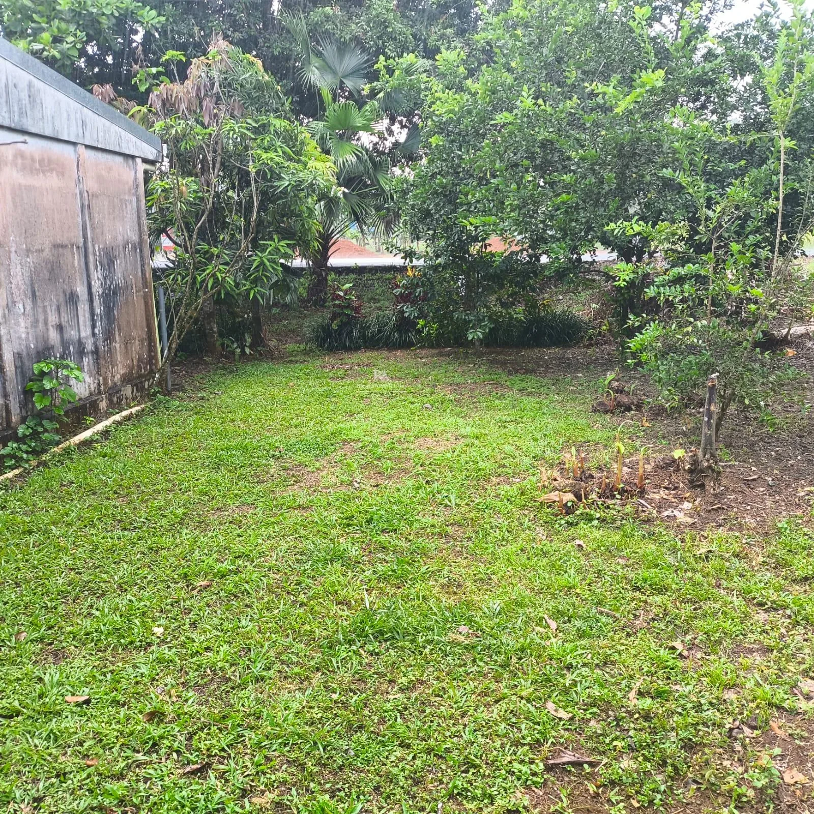 Lote en Puerto Jiménez Puntarenas 2