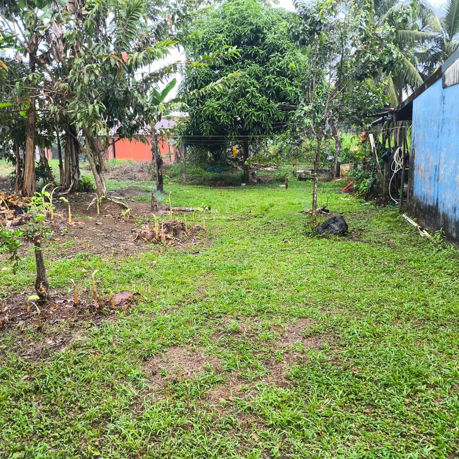 Lote en Puerto Jiménez Puntarenas 2