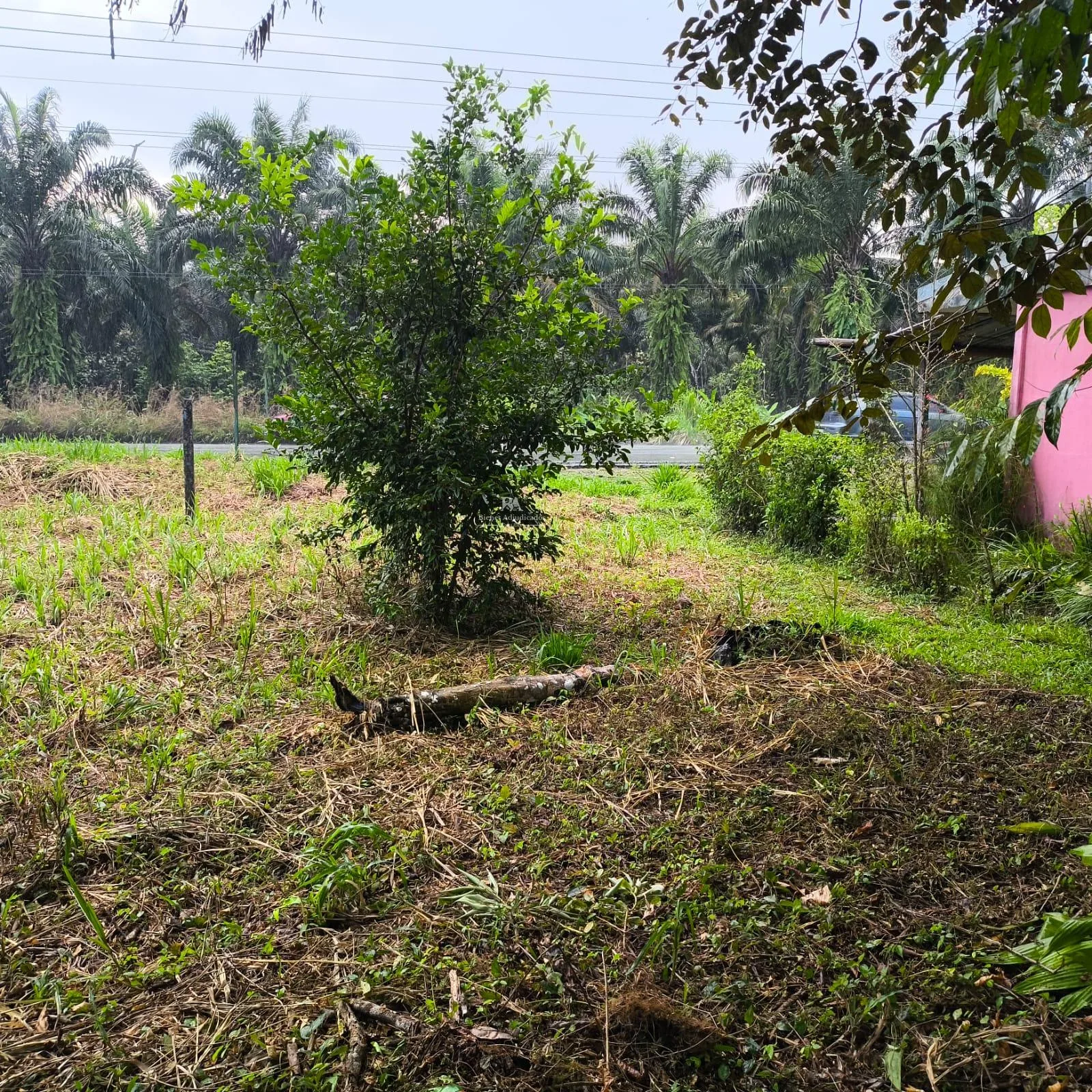Lote en Puerto Jiménez Puntarenas