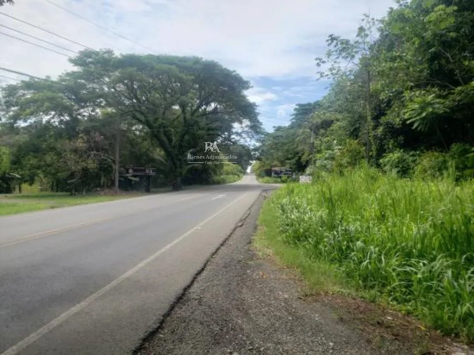 Lote en Puntarenas Parrita