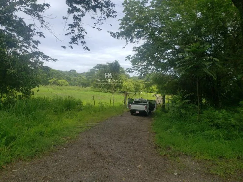 Lote en Puntarenas Parrita