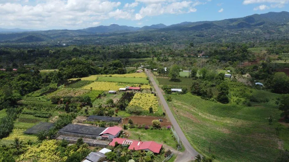 Lote en San Carlos la Tigra