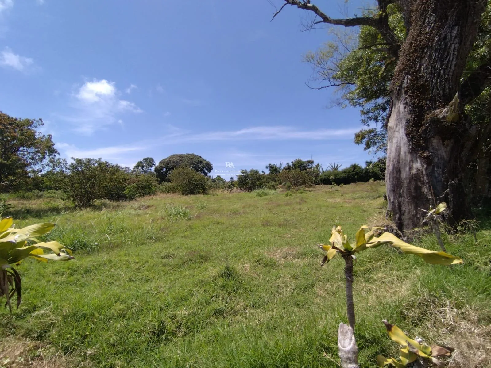 Lote en San Isidro de Heredia