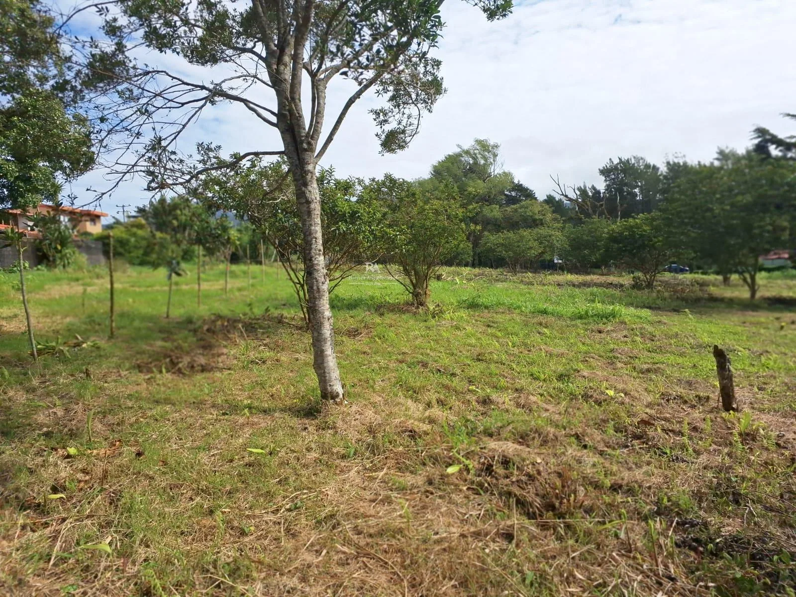 Lote en San Isidro de Heredia