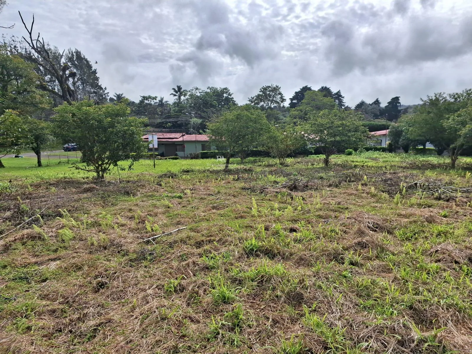 Lote en San Isidro de Heredia