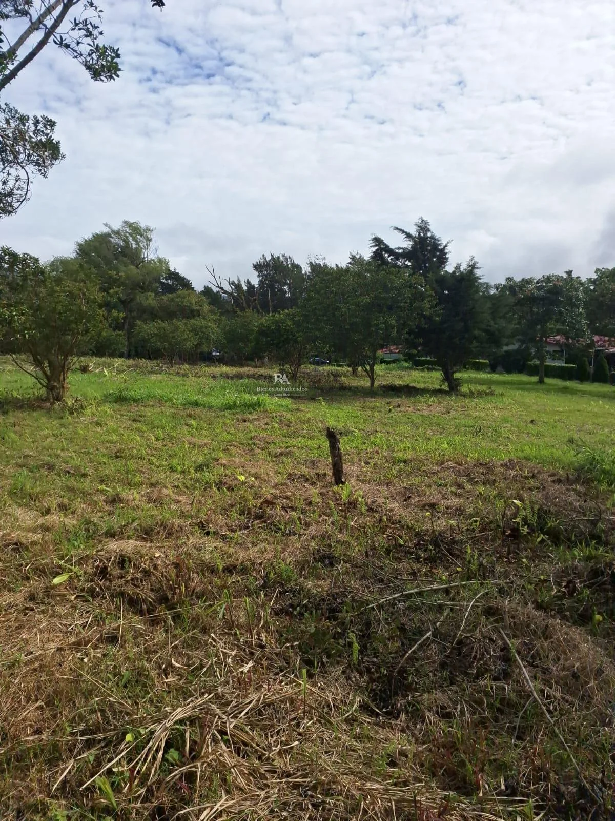 Lote en San Isidro de Heredia