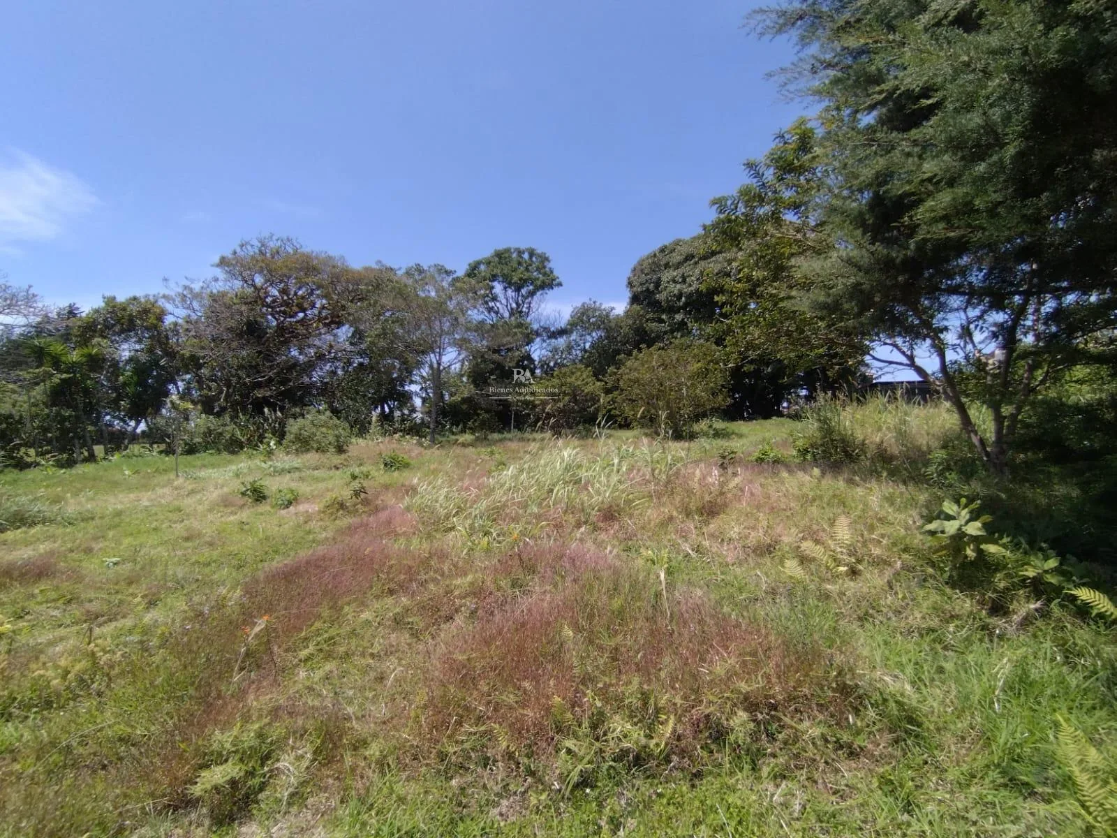 Lote en San Isidro de Heredia