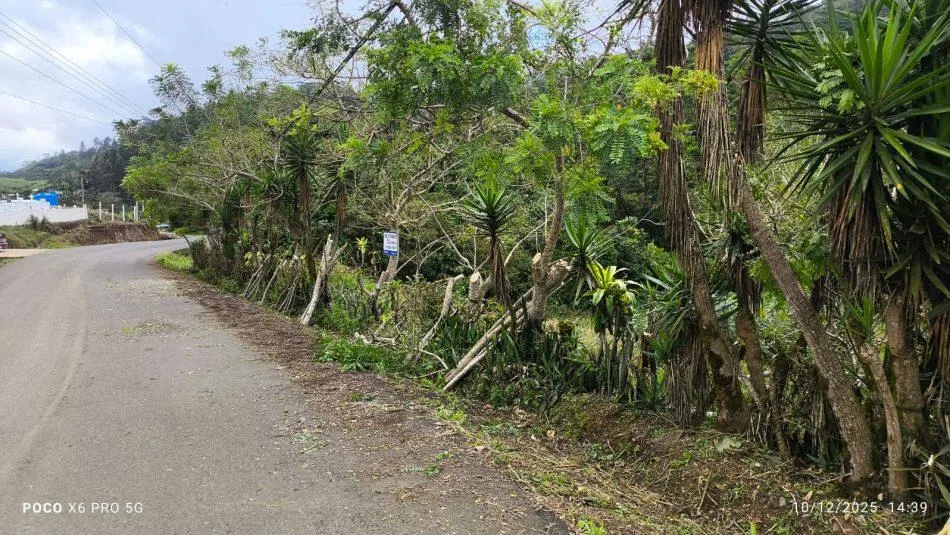 Lote en Tuis Turrialba