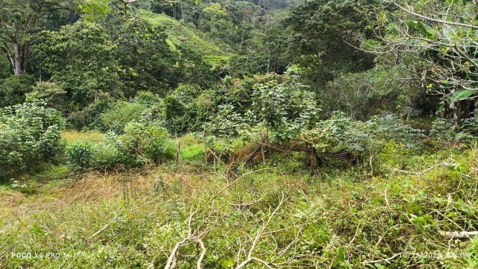 Lote en Tuis Turrialba