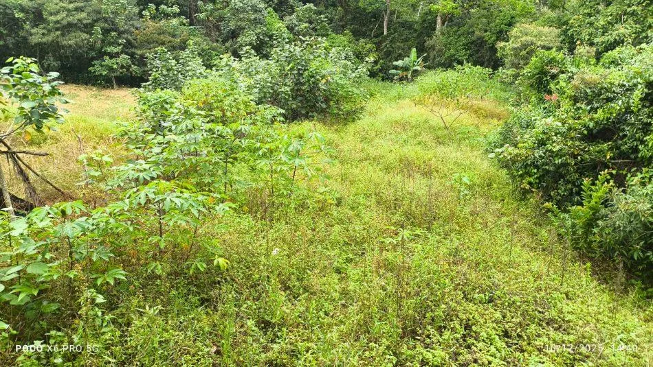 Lote en Tuis Turrialba