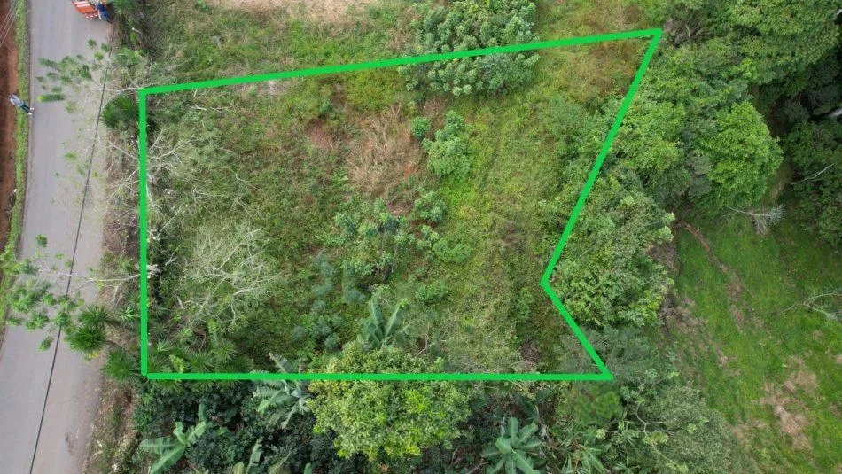Lote en Tuis Turrialba