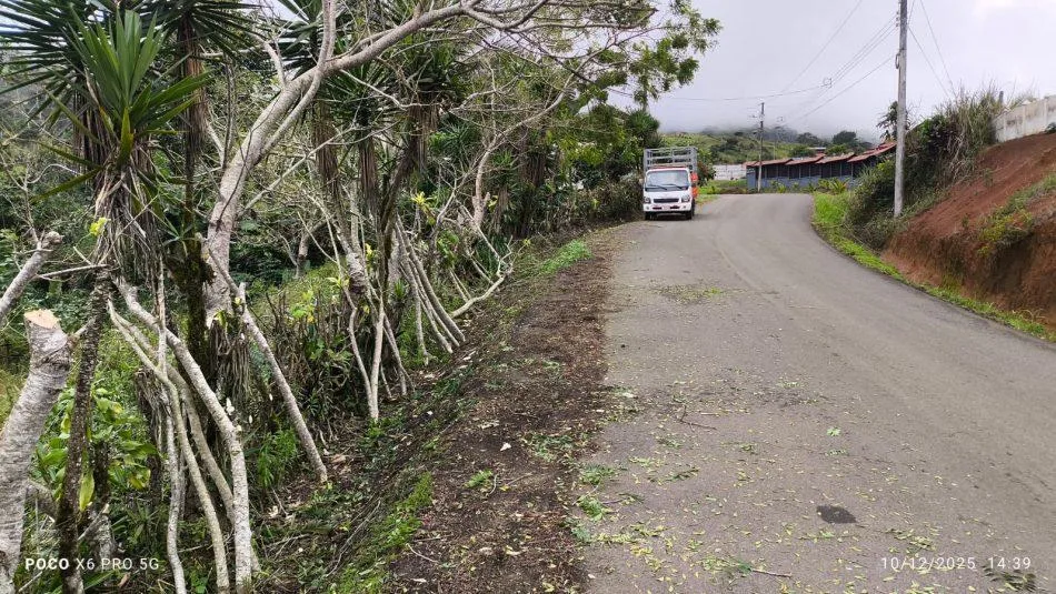Lote en Tuis Turrialba