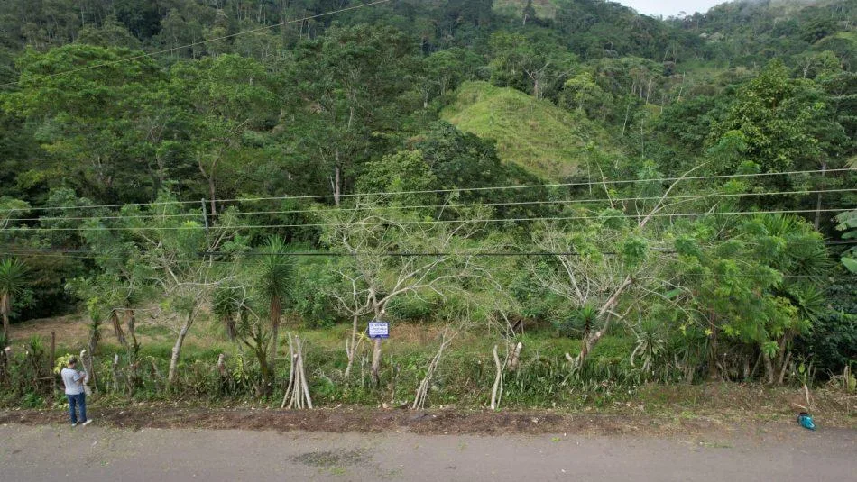 Lote en Tuis Turrialba
