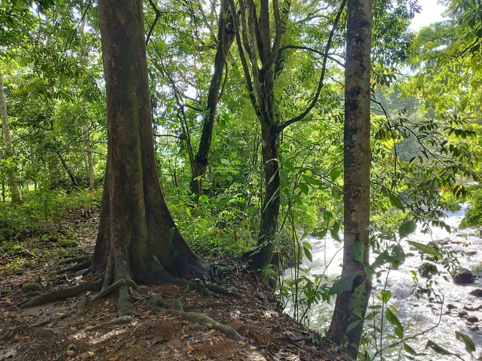Lote en Upala Alajuela