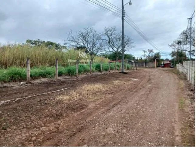 Lote San Miguel Santo Domingo