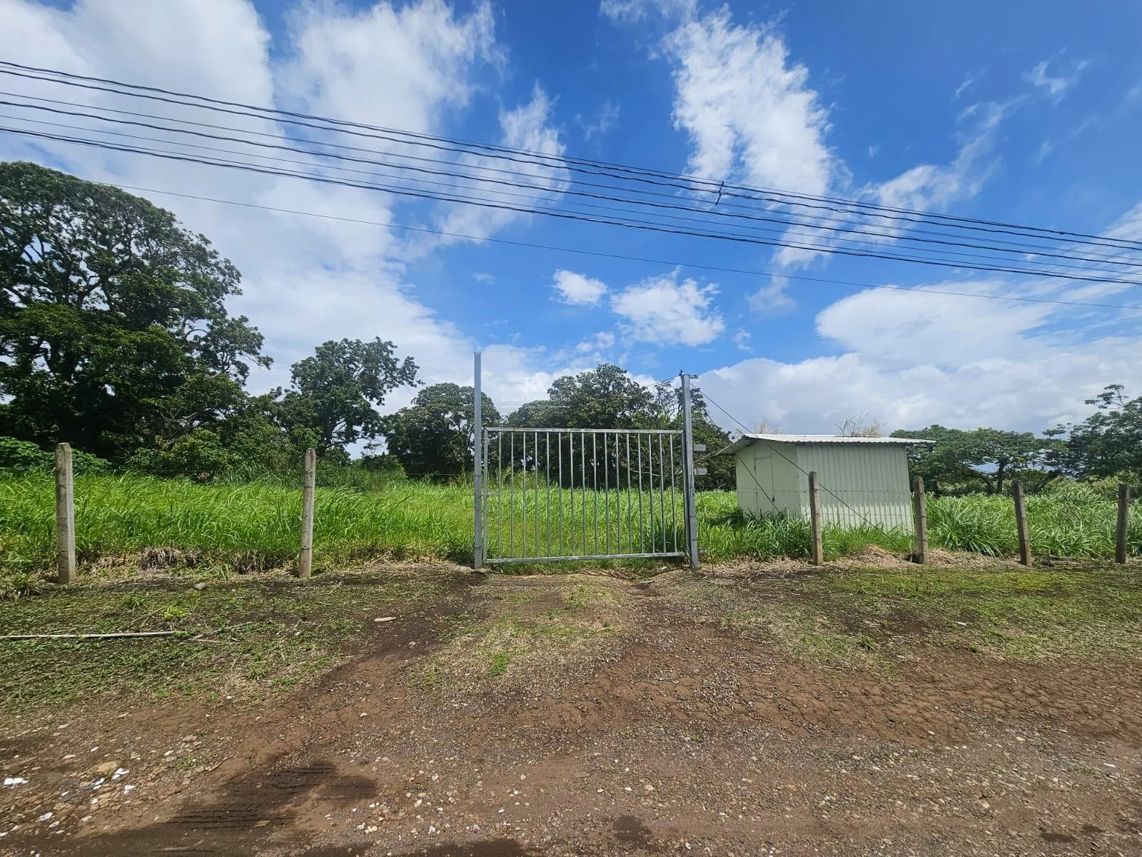 Lote San Miguel Santo Domingo