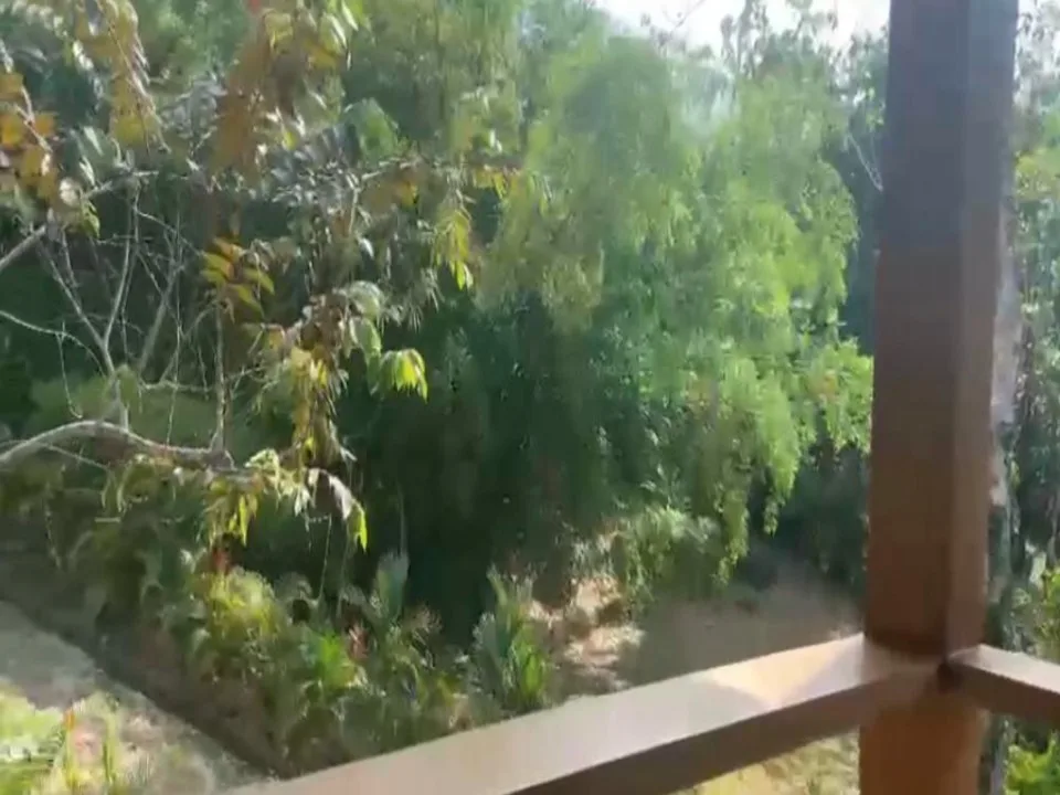 Lotes con casa a la medida
