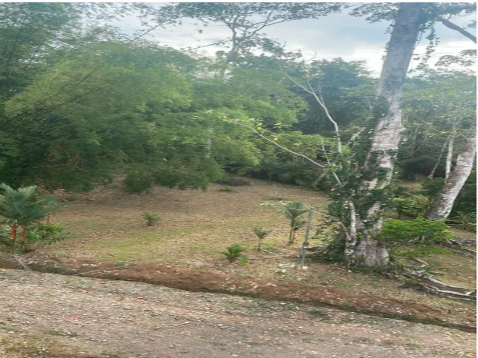 Lotes con casa a la medida