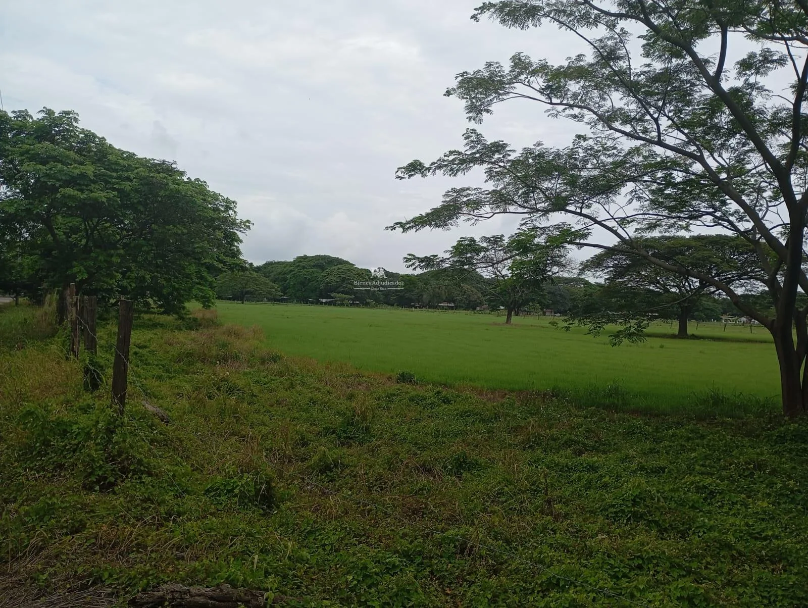Lotes en Liberia Guanacaste