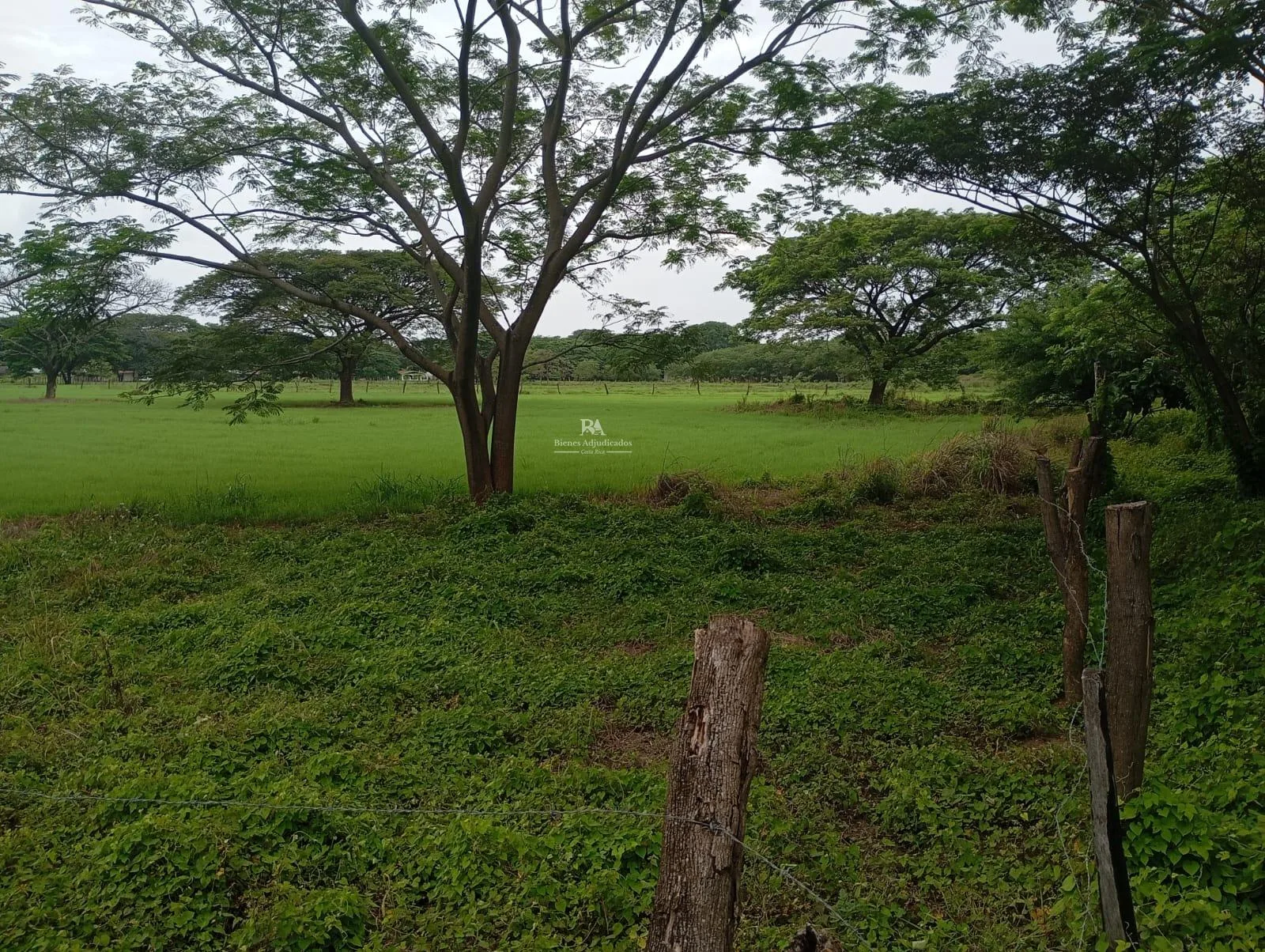 Lotes en Liberia Guanacaste