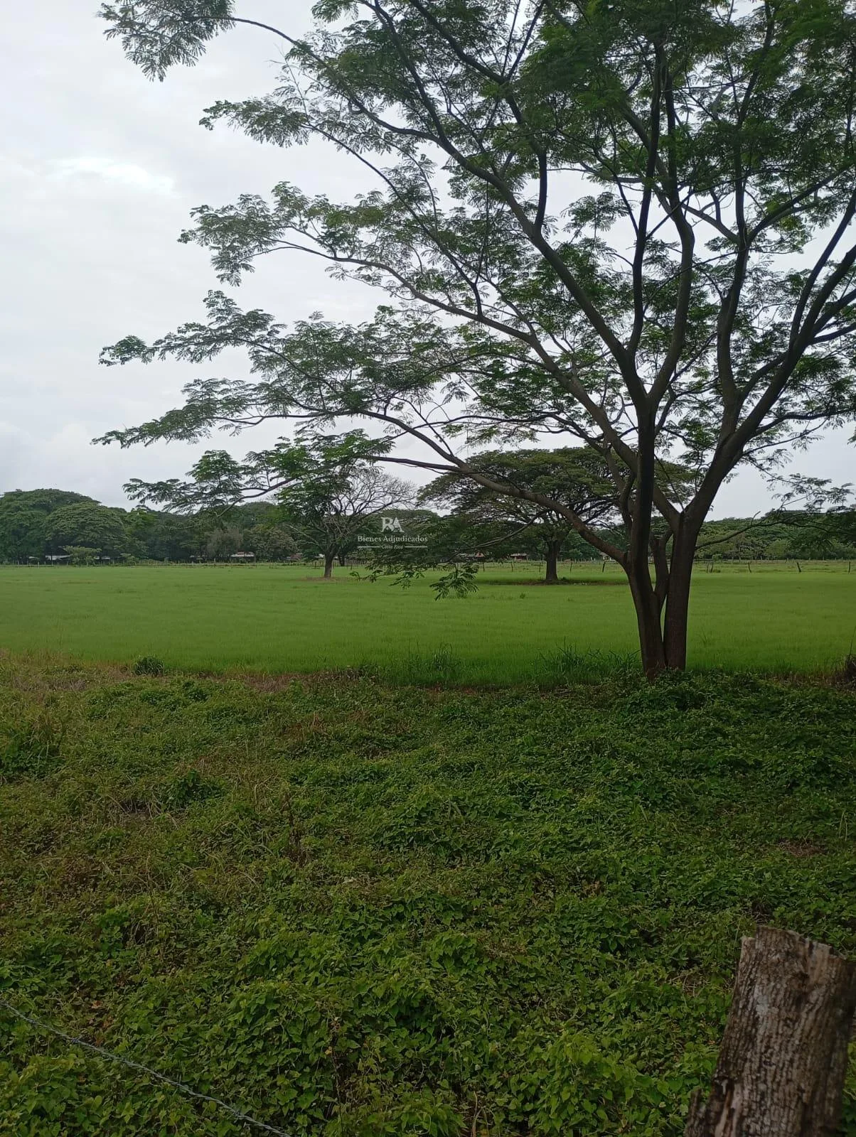 Lotes en Liberia Guanacaste