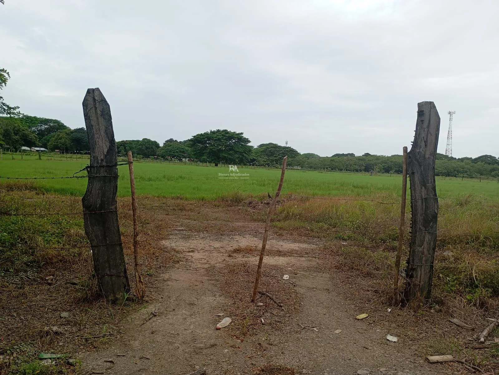 Lotes en Liberia Guanacaste