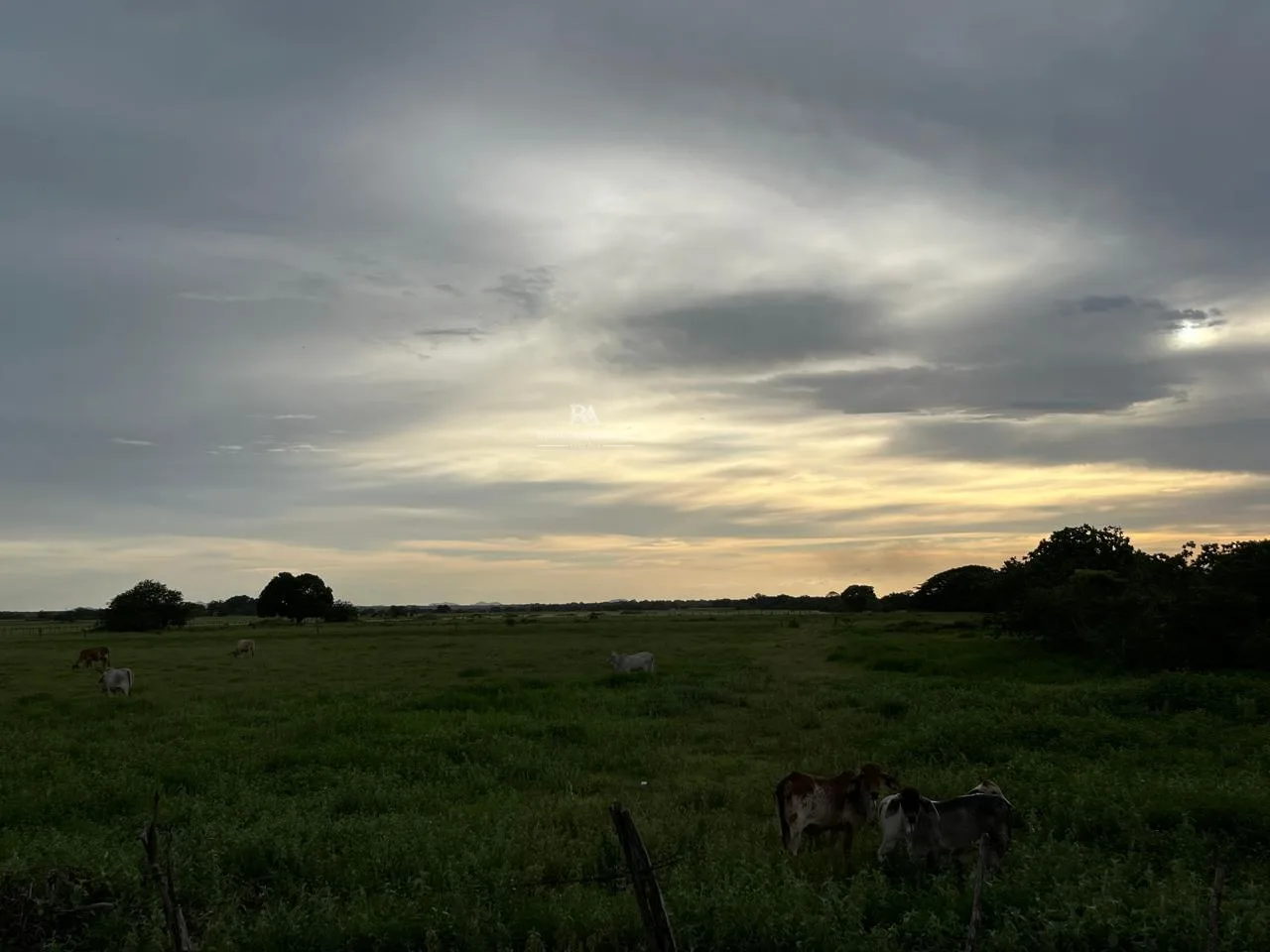 Lotes en Liberia Guanacaste