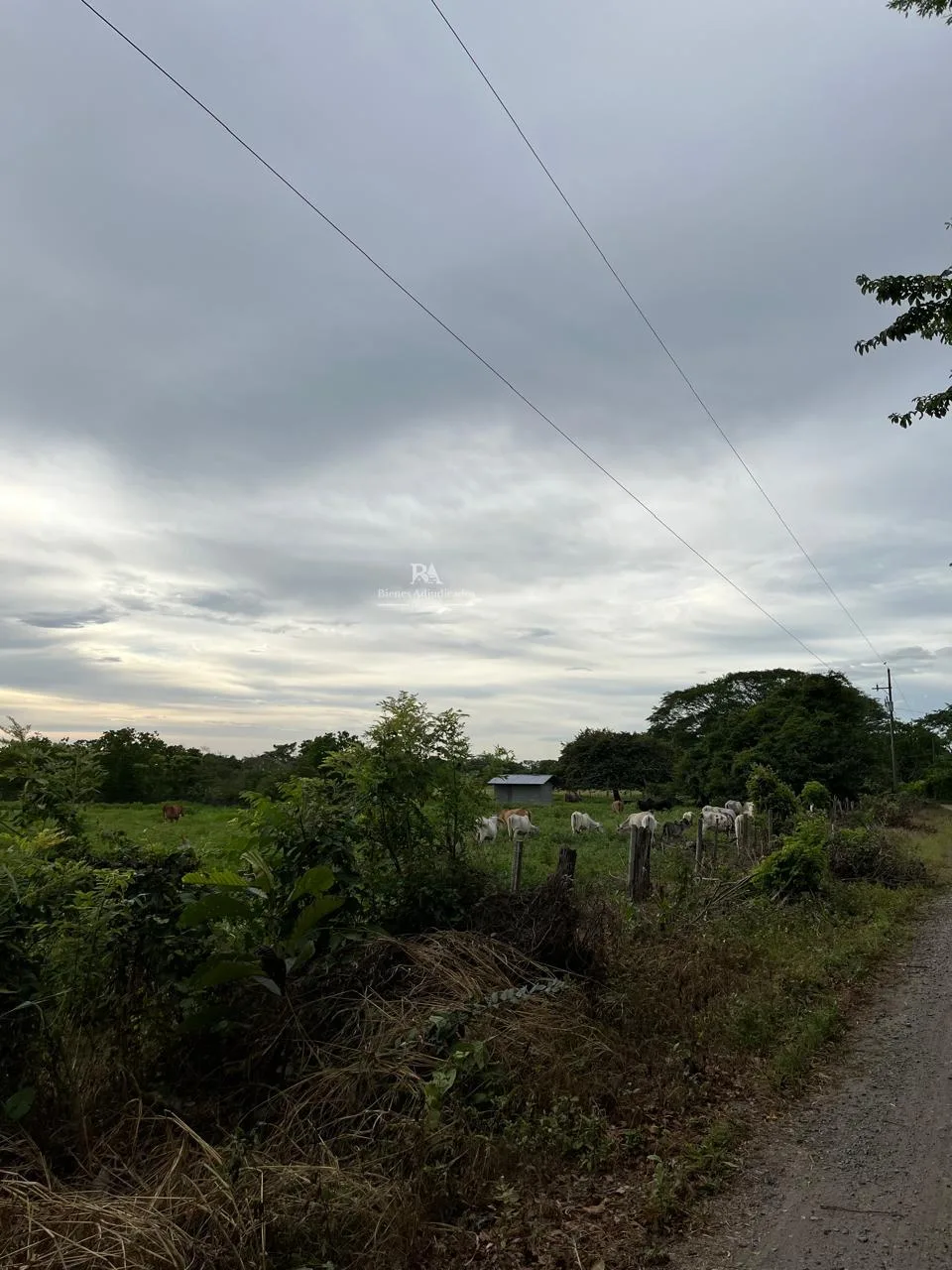 Lotes en Liberia Guanacaste