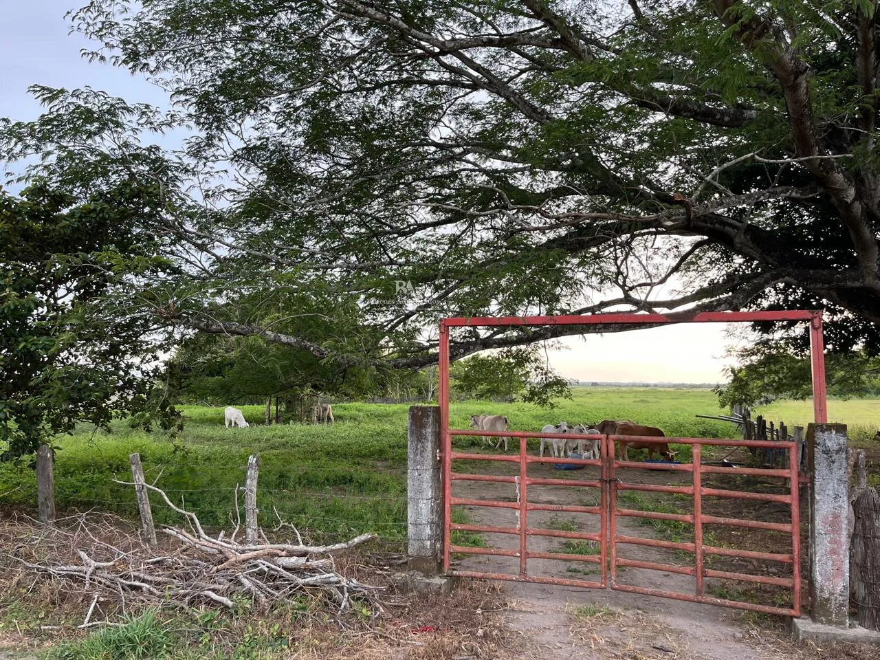 Lotes en Liberia Guanacaste