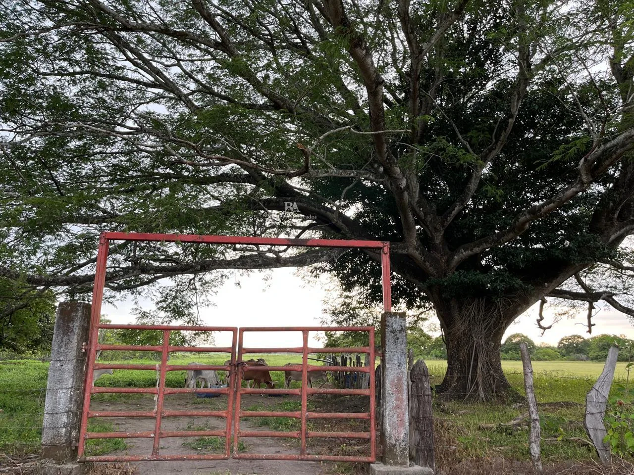 Lotes en Liberia Guanacaste