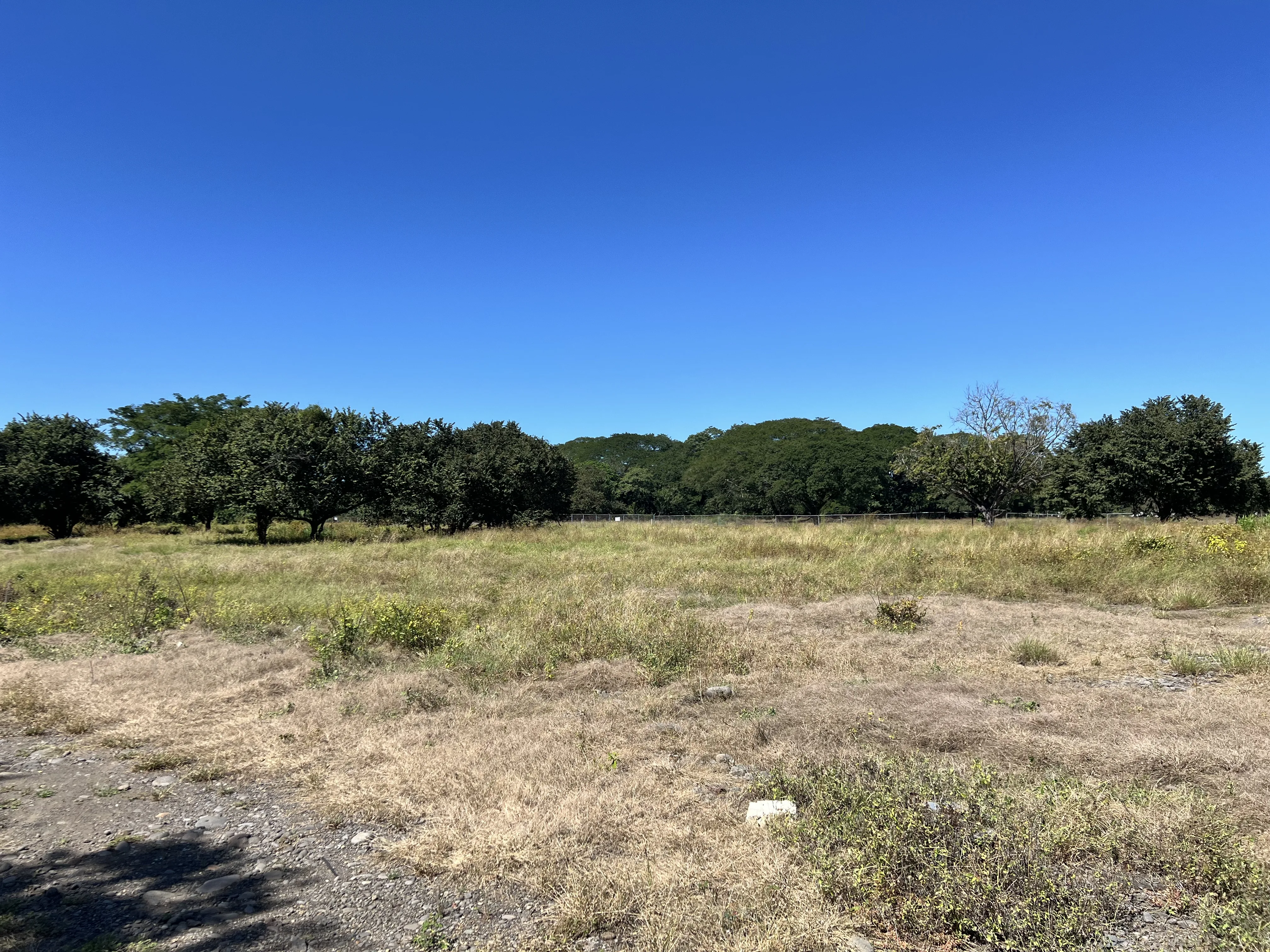Lotes Zona Franca Puntarenas