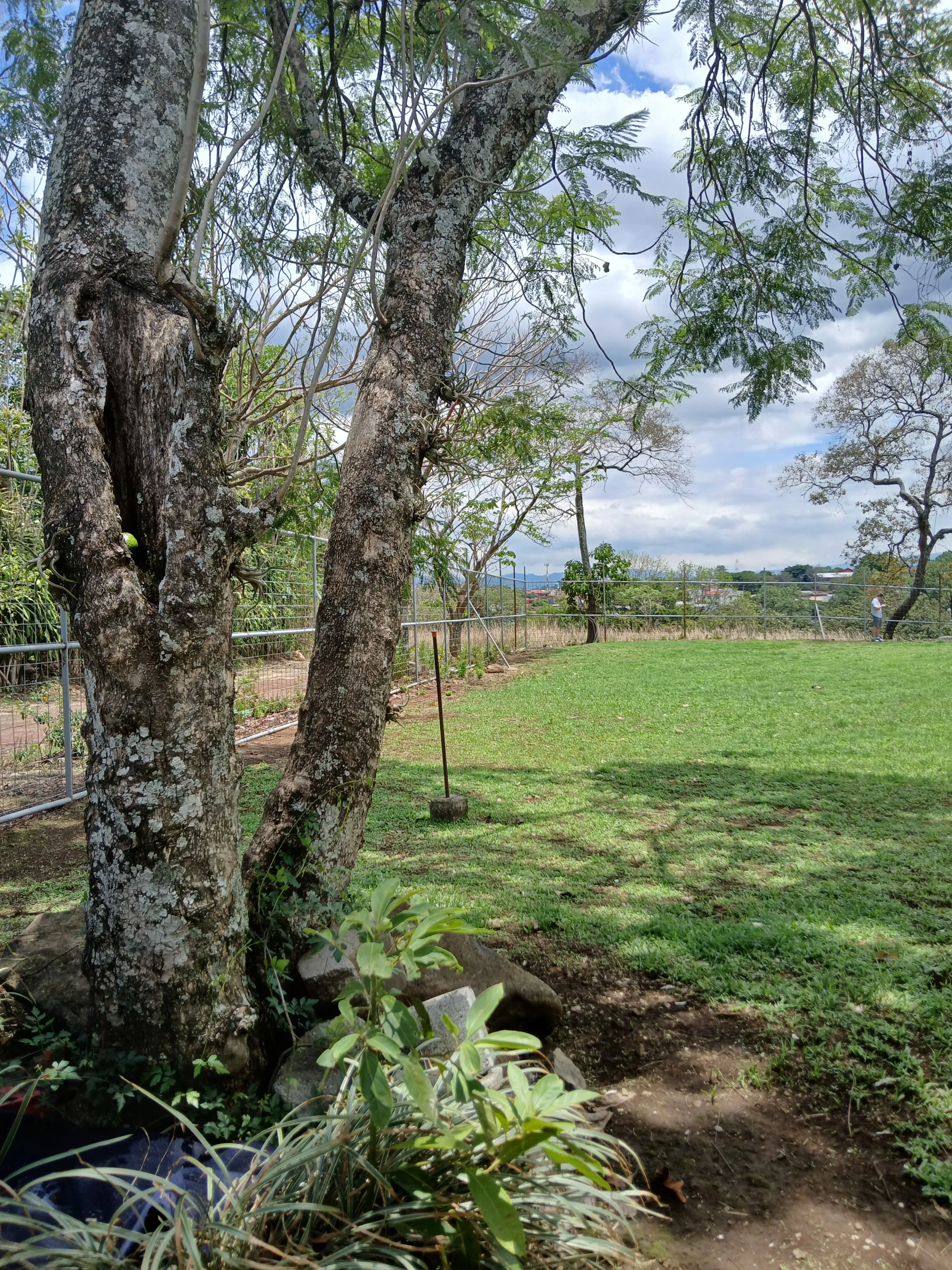 Propiedad en Alajuela