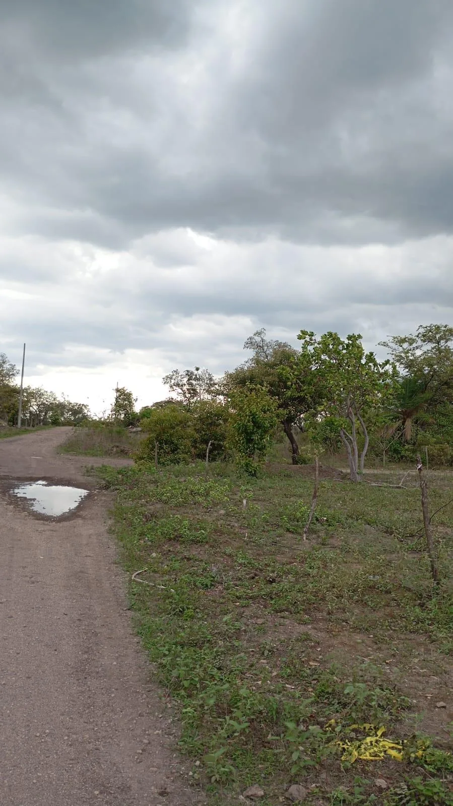 Proyecto la Ponderosa lote # 04