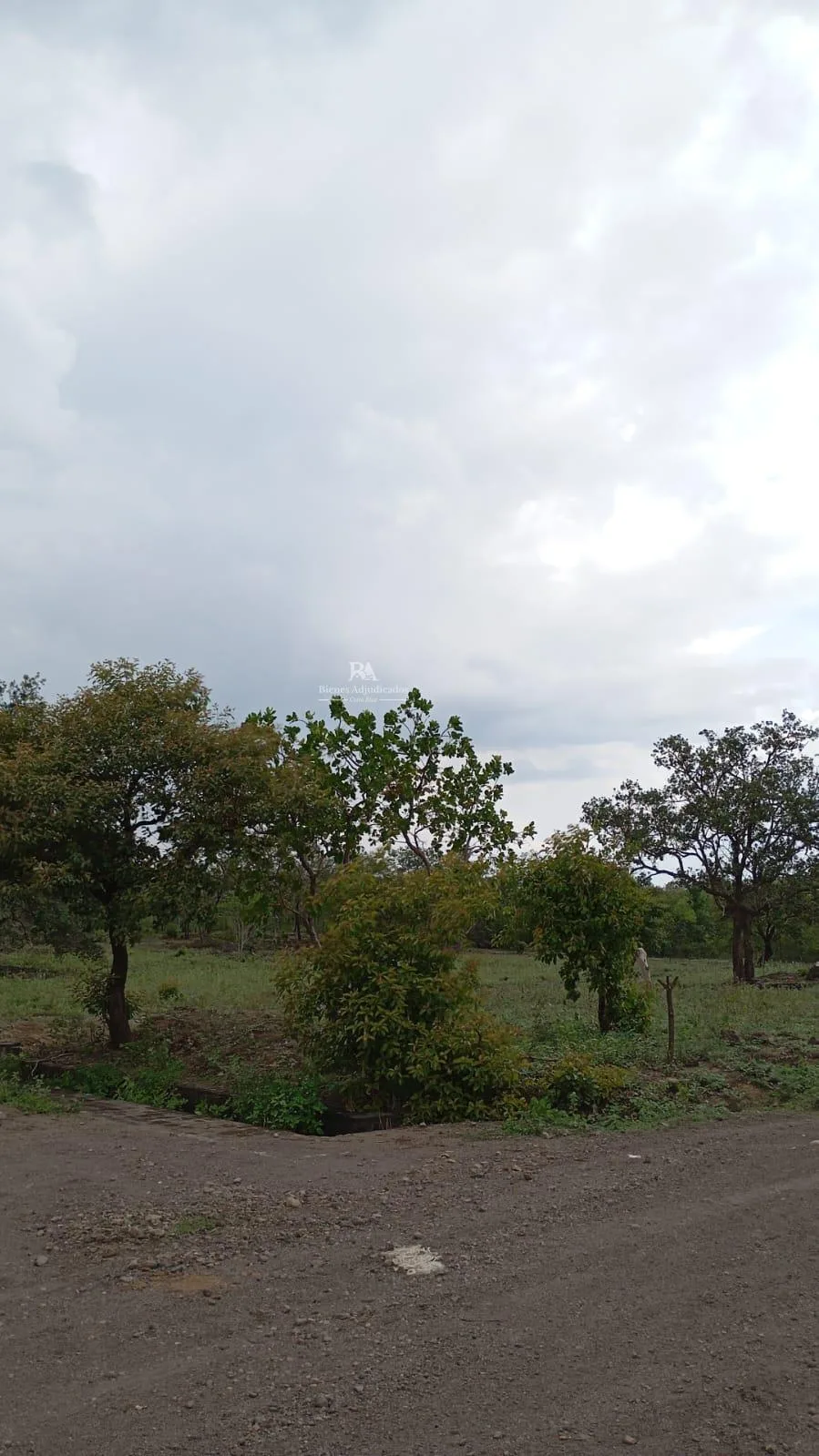 Proyecto la Ponderosa lote # 04