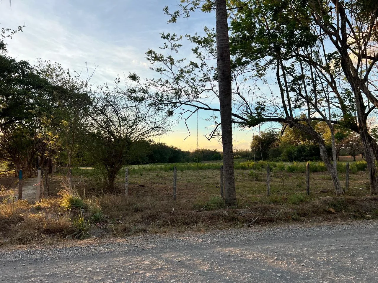 Proyecto la Ponderosa lote # 12