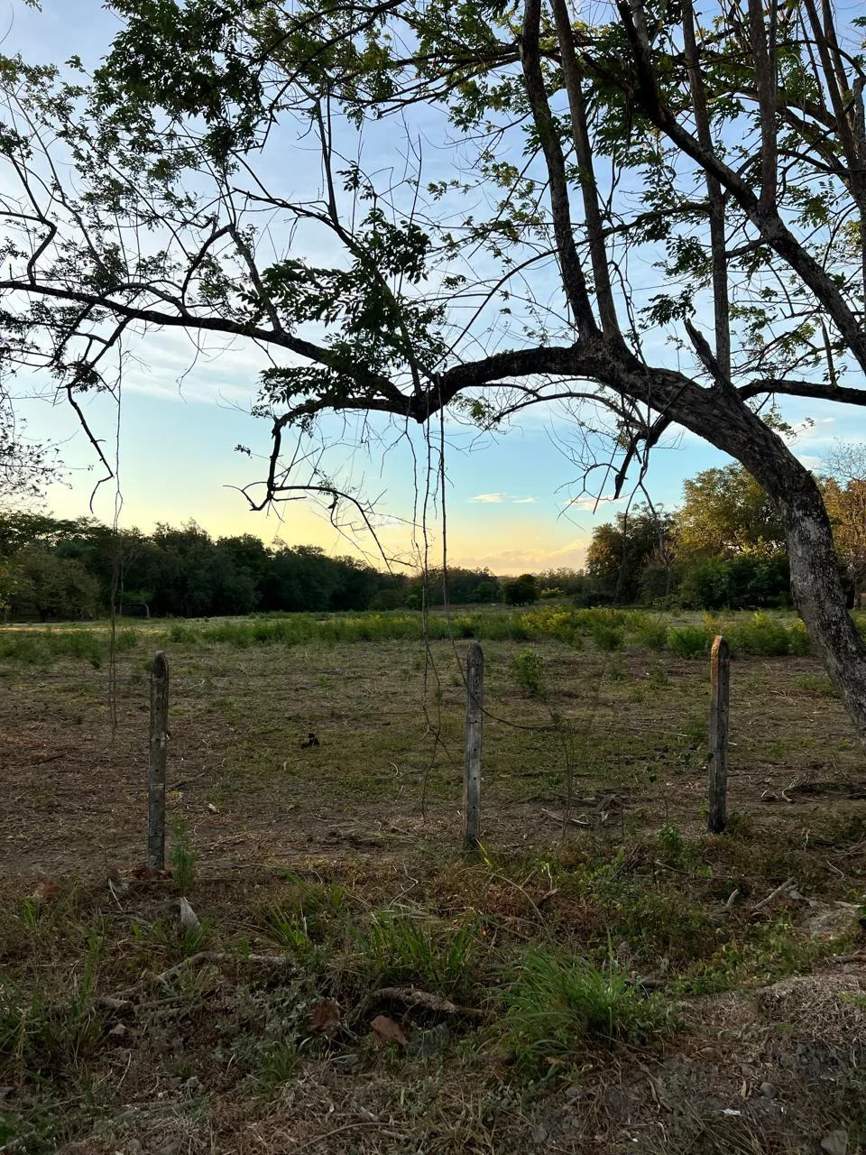 Proyecto la Ponderosa lote # 12
