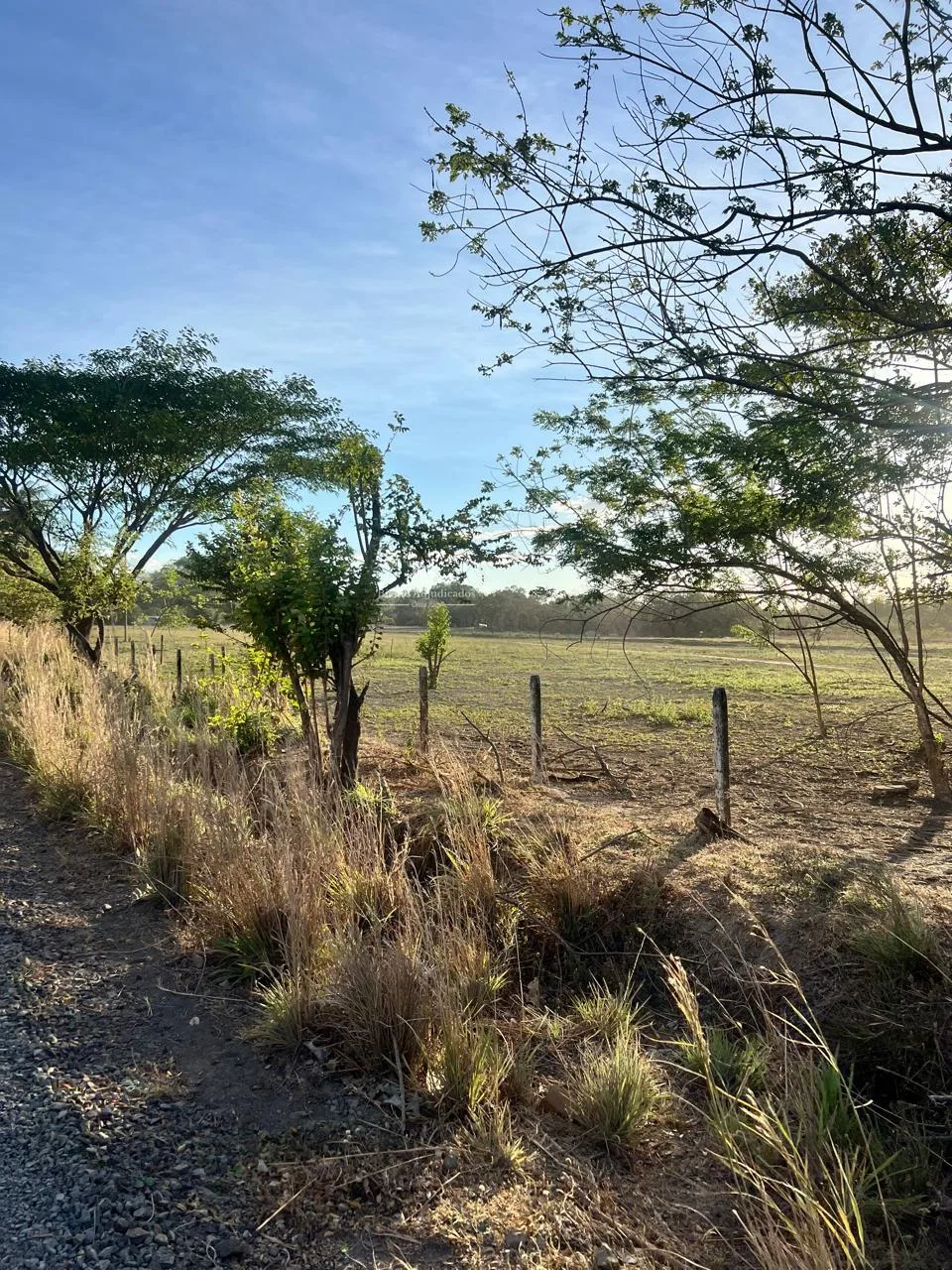 Proyecto la Ponderosa lote # 13