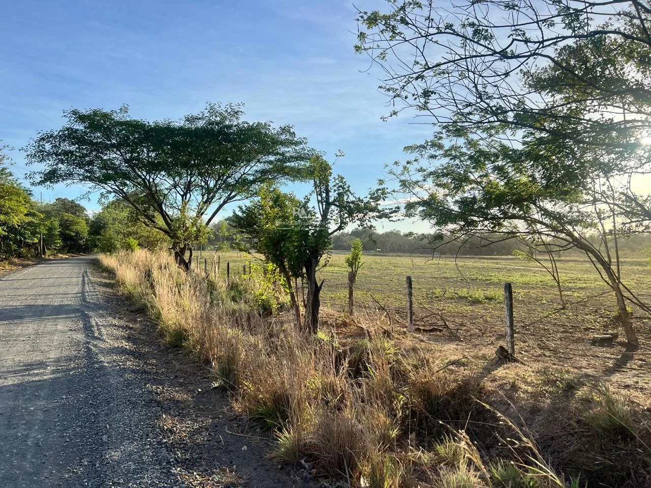 Proyecto la Ponderosa lote # 13
