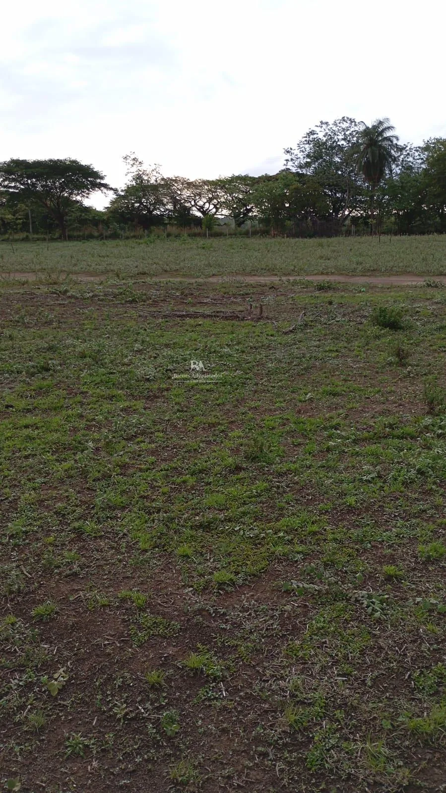 Proyecto la Ponderosa lote # 14