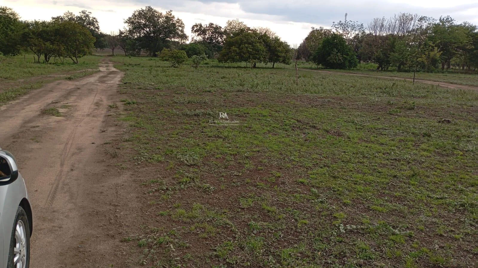Proyecto la Ponderosa lote # 14