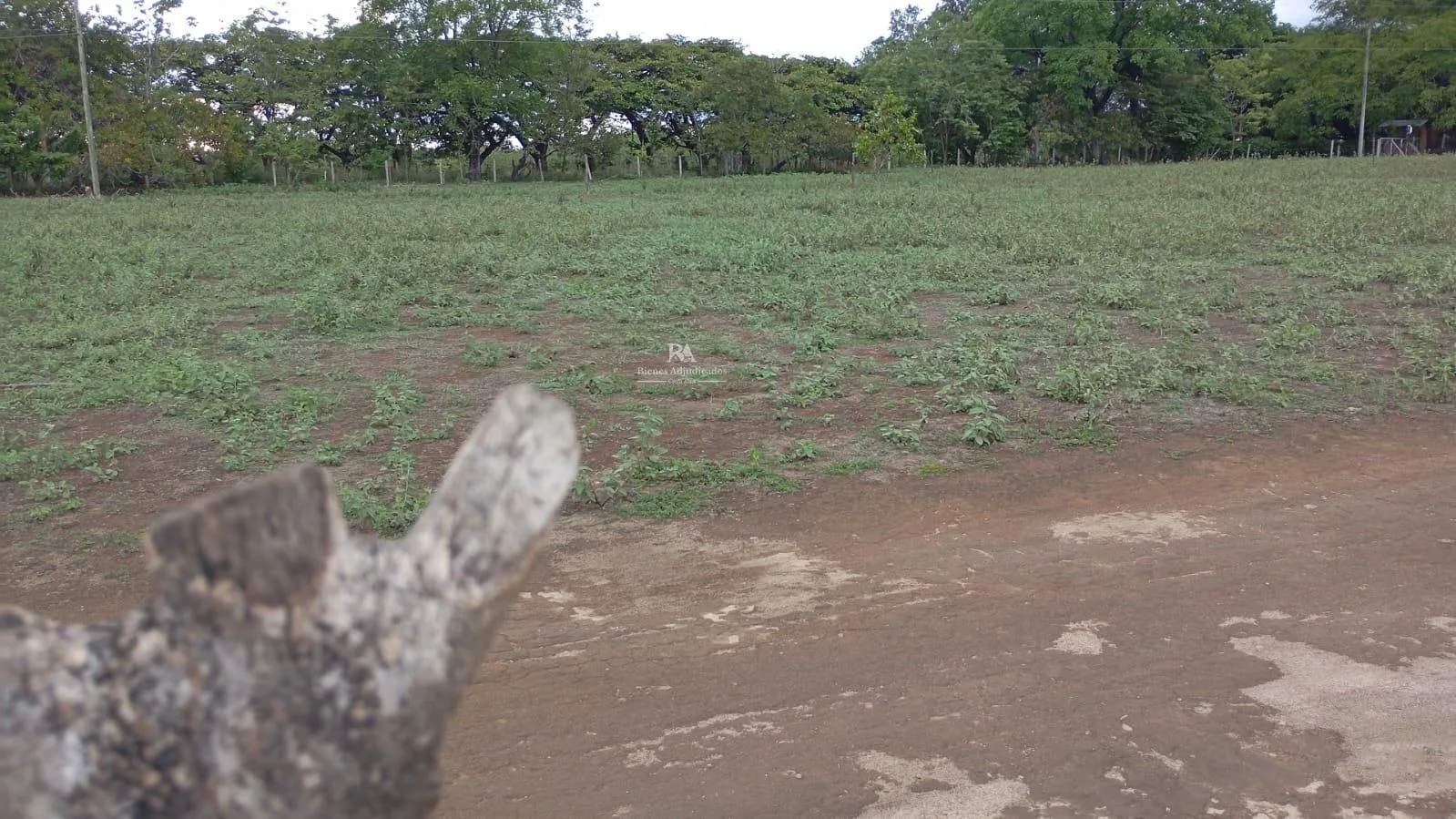 Proyecto la Ponderosa lote # 15