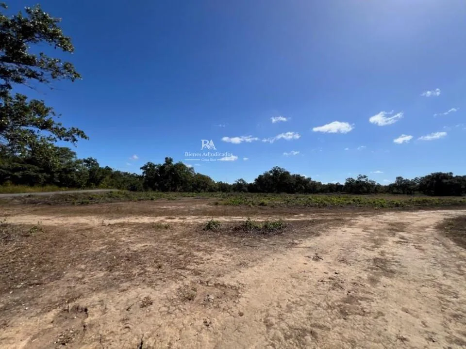 Proyecto la Ponderosa lote # 15