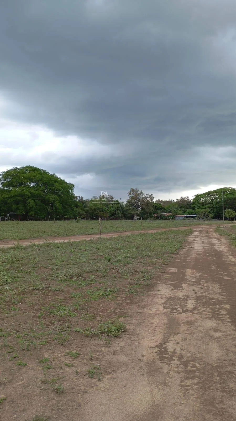 Proyecto la Ponderosa lote # 16