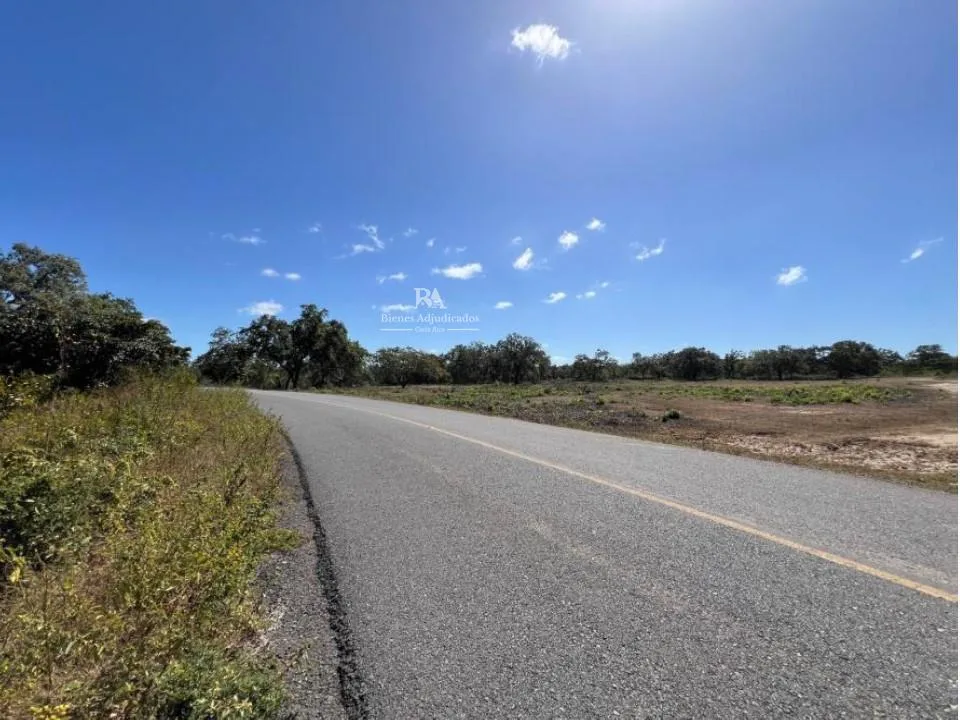 Proyecto la Ponderosa lote # 17