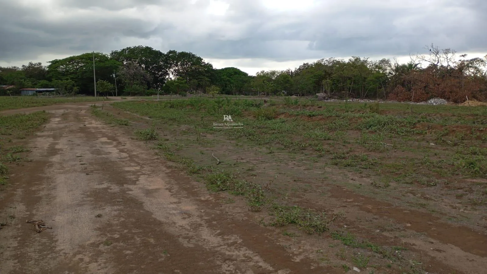 Proyecto la Ponderosa lote # 18