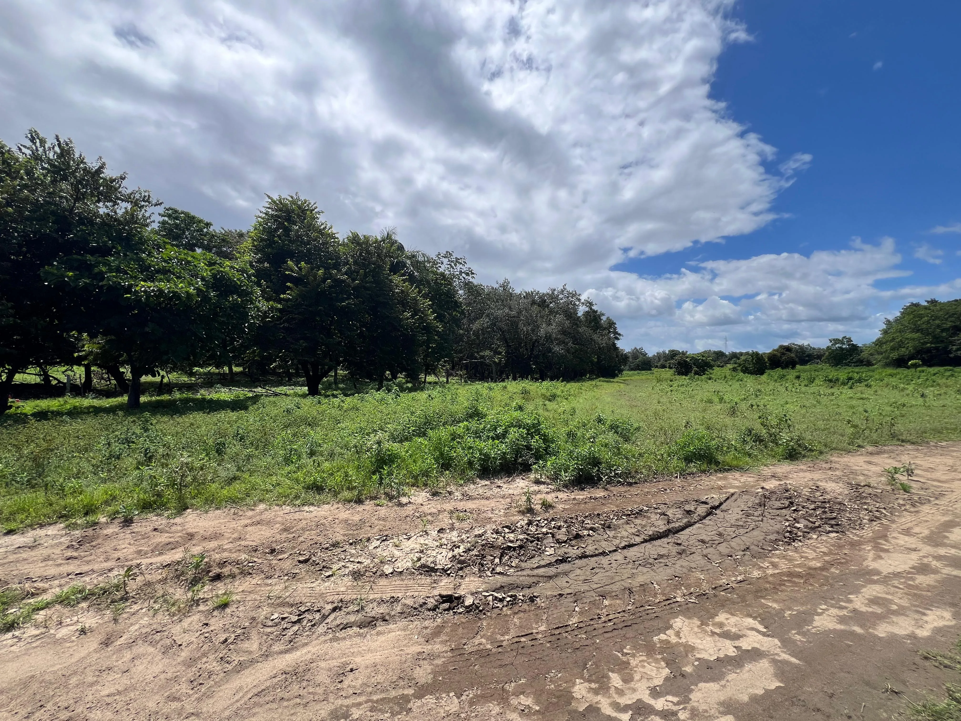Proyecto la Ponderosa lote # 19