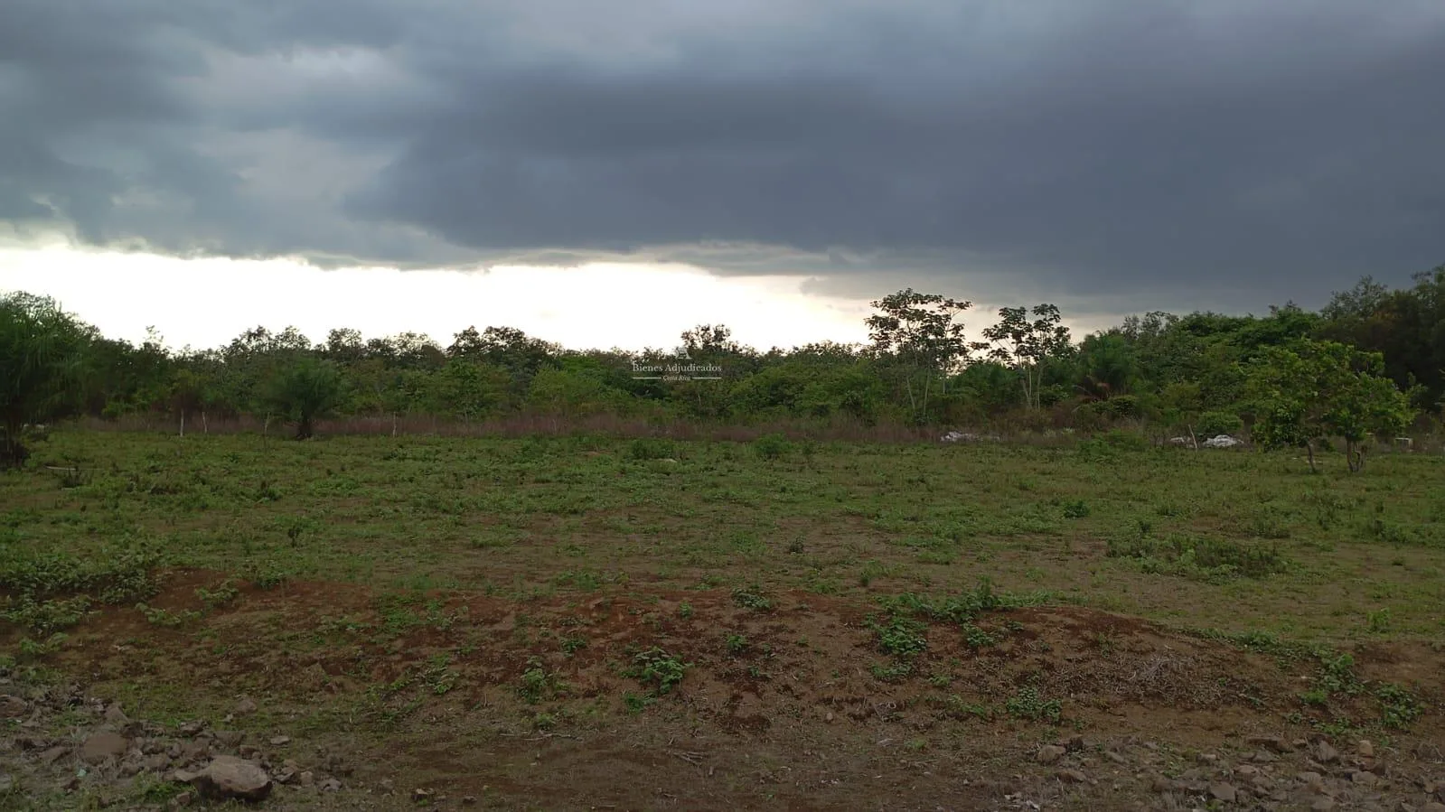 Proyecto la Ponderosa lote # 19